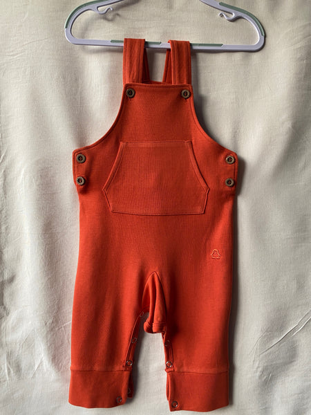 Overall Spring Time