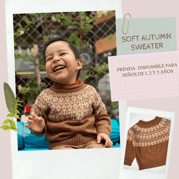 Soft Autumn Sweater - PetitePlaceStore