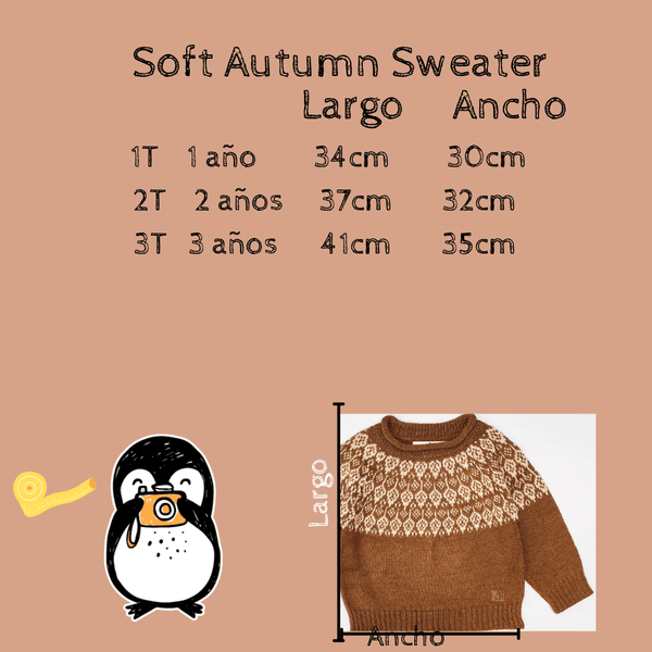 Soft Autumn Sweater - PetitePlaceStore